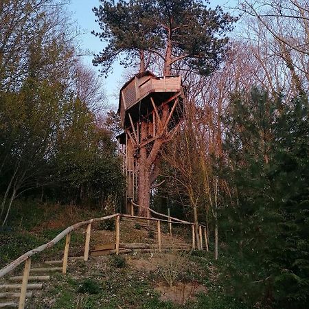 Sherwood Tree Ετρετά Εξωτερικό φωτογραφία