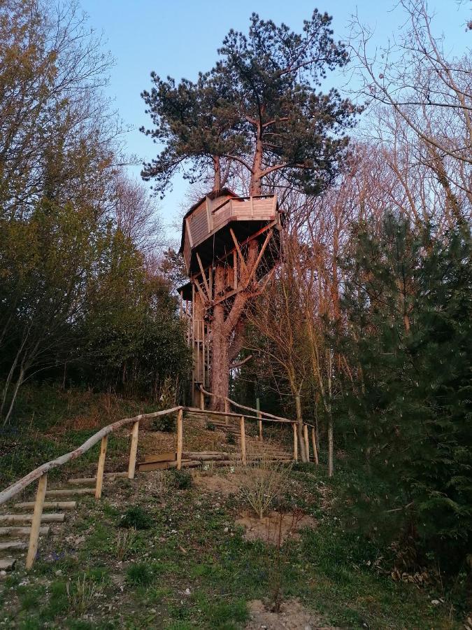 Sherwood Tree Ετρετά Εξωτερικό φωτογραφία