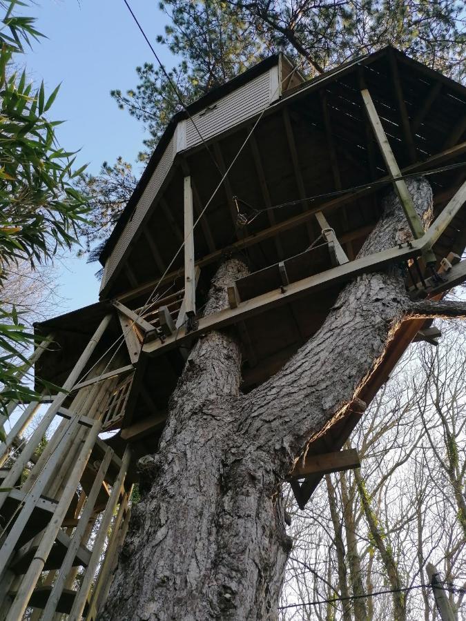 Sherwood Tree Ετρετά Εξωτερικό φωτογραφία