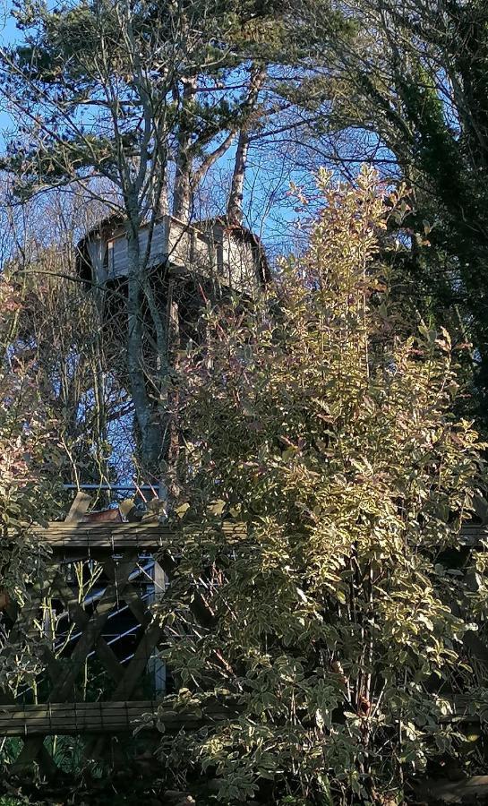 Sherwood Tree Ετρετά Εξωτερικό φωτογραφία