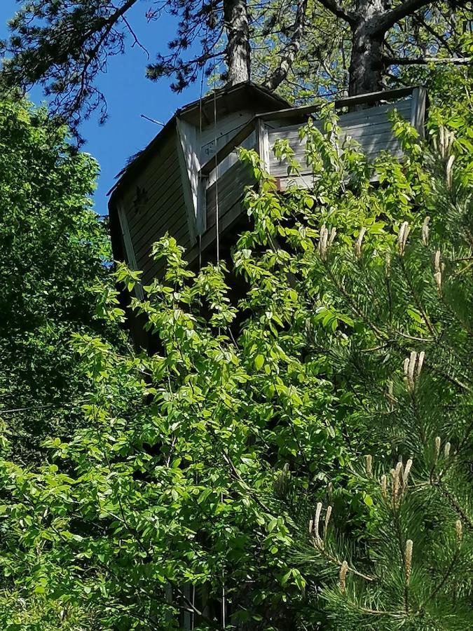 Sherwood Tree Ετρετά Εξωτερικό φωτογραφία