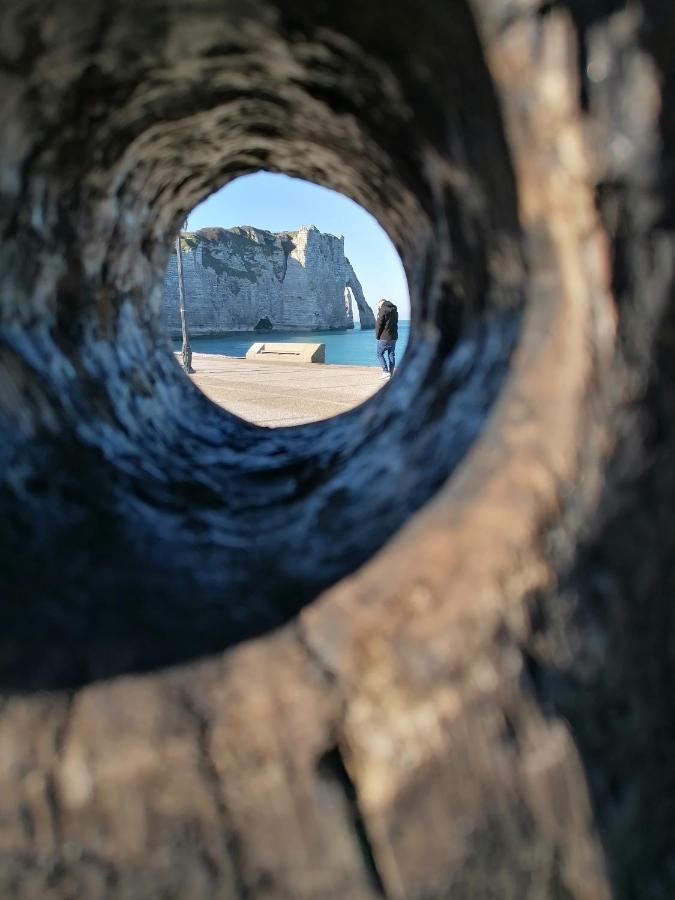 Sherwood Tree Ετρετά Εξωτερικό φωτογραφία