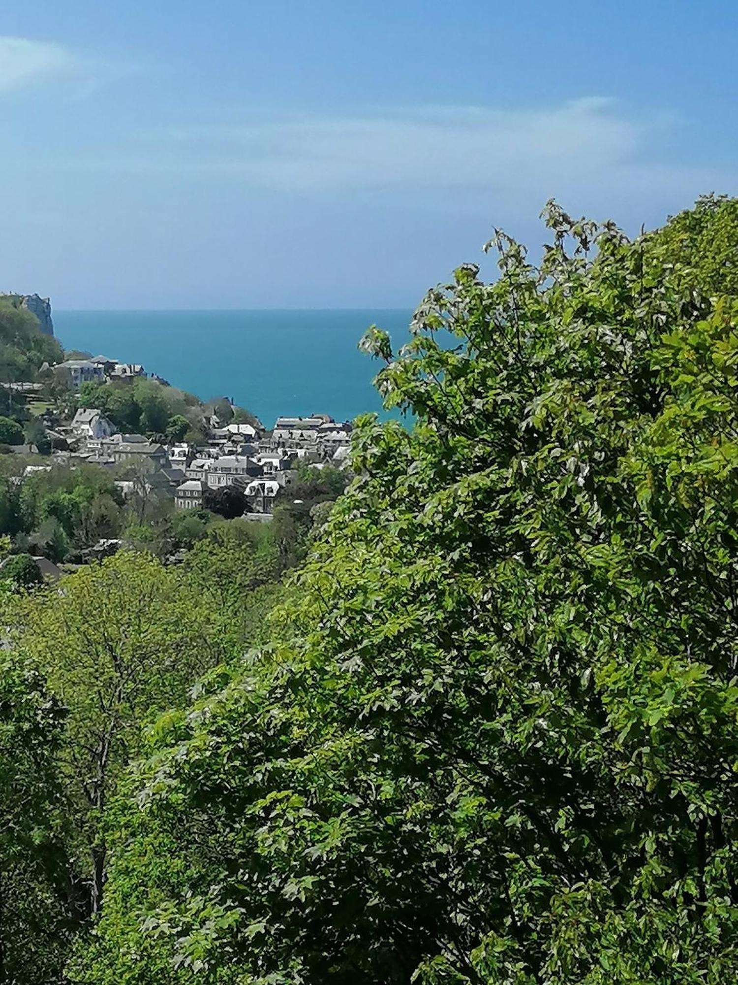 Sherwood Tree Ετρετά Εξωτερικό φωτογραφία
