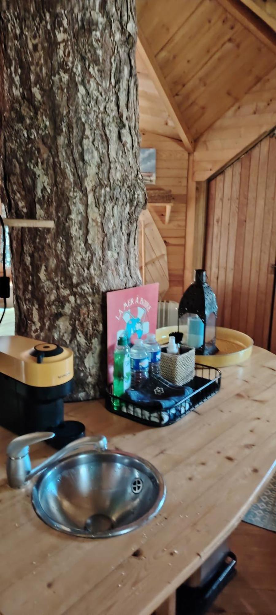 Sherwood Tree Ετρετά Εξωτερικό φωτογραφία