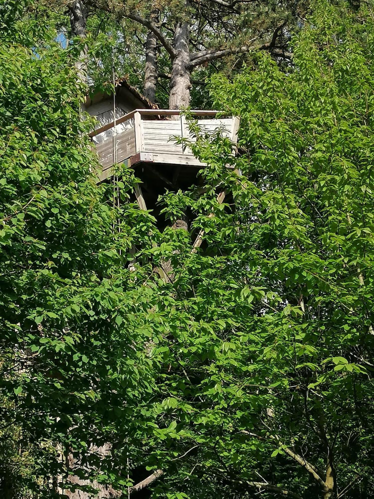Sherwood Tree Ετρετά Εξωτερικό φωτογραφία